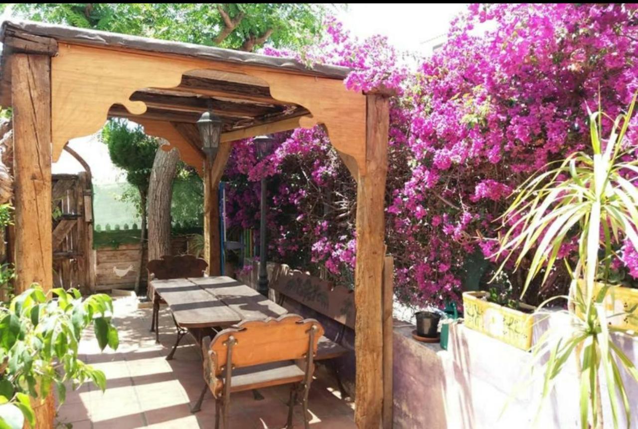 Bungalow Con Encanto, 100M2, A 800 M De La Playa El Campello Dış mekan fotoğraf
