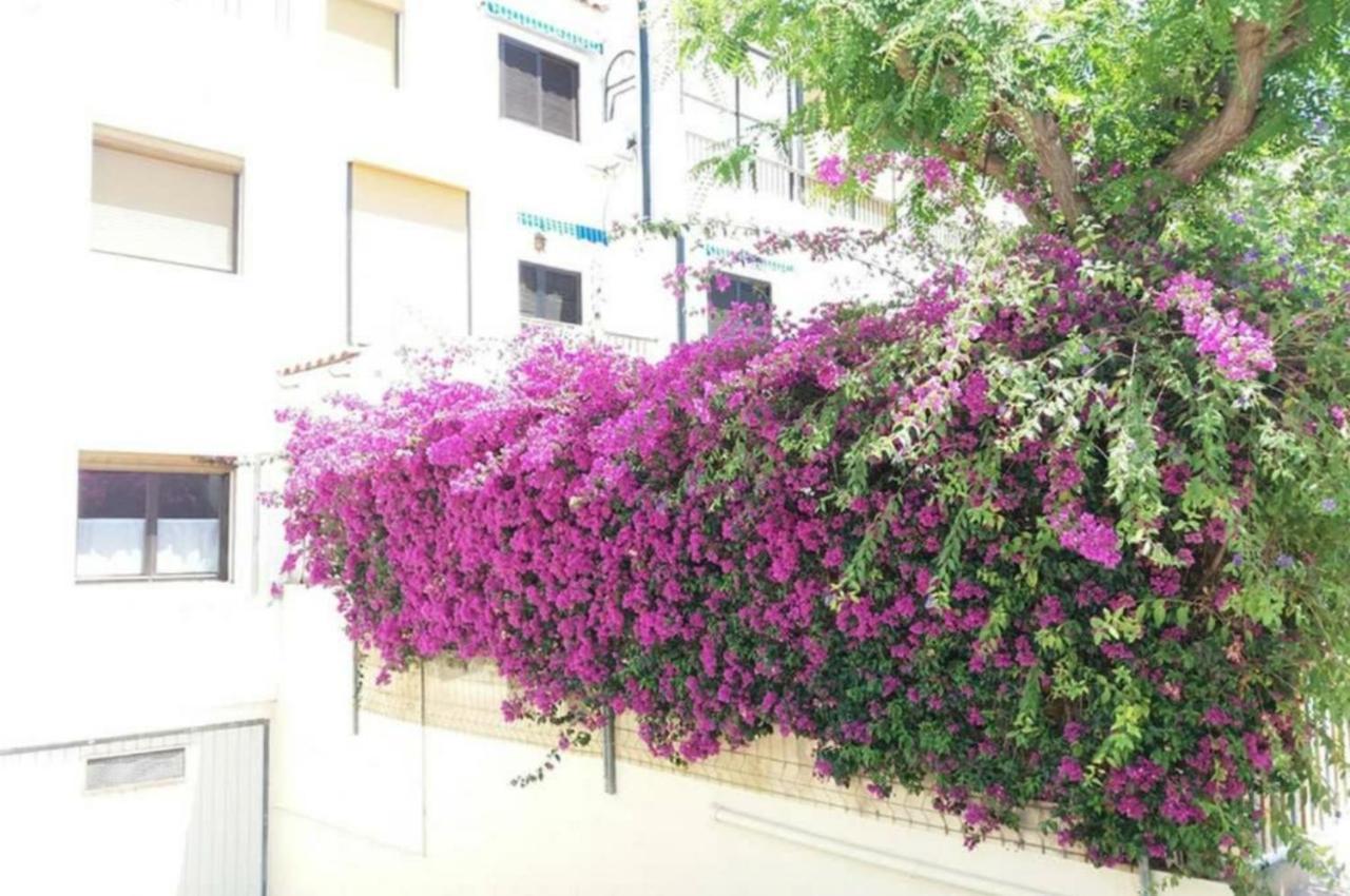 Bungalow Con Encanto, 100M2, A 800 M De La Playa El Campello Dış mekan fotoğraf